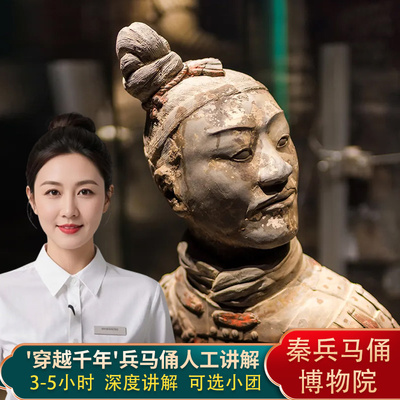 兵马俑丽山园人工讲解