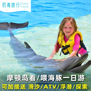 春节有位 黄金海岸布里斯班海豚岛摩顿岛喂海豚看海豚一日游澳洲