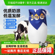兮域低温发酵新疆特产老式酸奶原味全脂生牛乳无添加