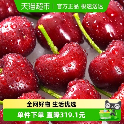 樱洛华智利车厘子脆甜樱桃