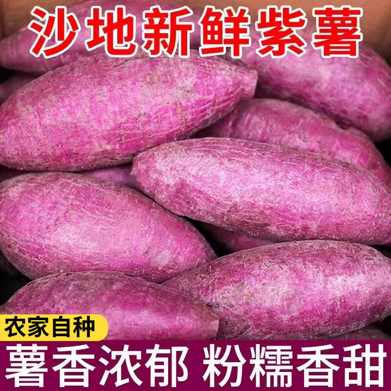 正宗紫薯沙地紫罗兰番薯地瓜当季蔬菜农家自种新鲜现挖产地直发