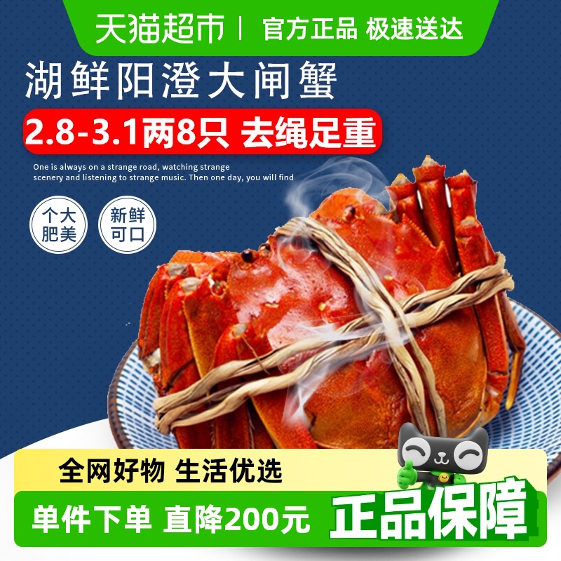 【活蟹】湖鮮陽澄 大閘蟹去繩足重2.8-3.1兩 8只鮮活六月黃禮盒裝