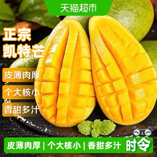 京运达云南正宗凯特芒