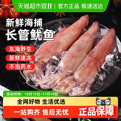 遇上鲜鲜活冷冻海鲜鱿鱼