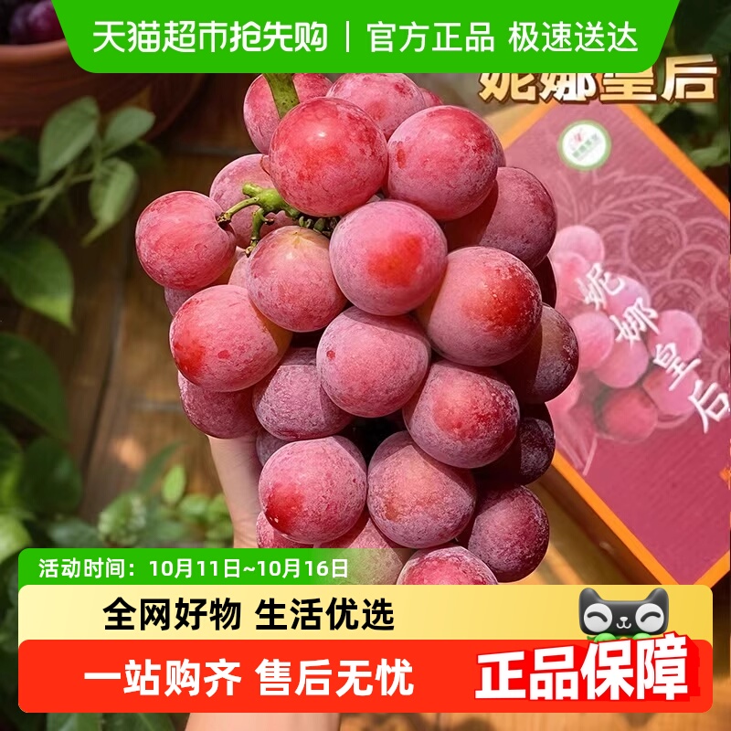 巧农人心田妮娜皇后葡萄无籽红提红宝石应季新鲜孕妇水果礼盒