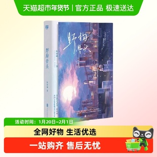 野狗骨头 新增出版番外。晋江超人气作者 休屠城 正版书籍