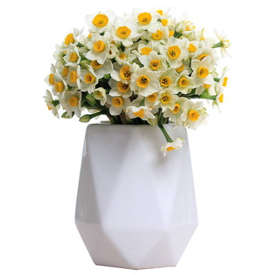 2道人工筛选!漳州水仙鲜切花枝