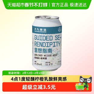 大九酿造意想指南柏林酸小麦精酿易拉罐金桔柠檬鲜啤果酒