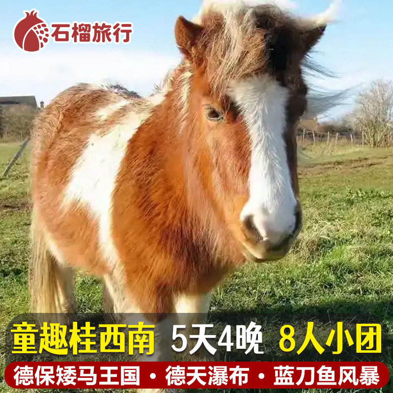 广西南宁德天瀑布三门海蓝刀鱼5天纯玩小团
