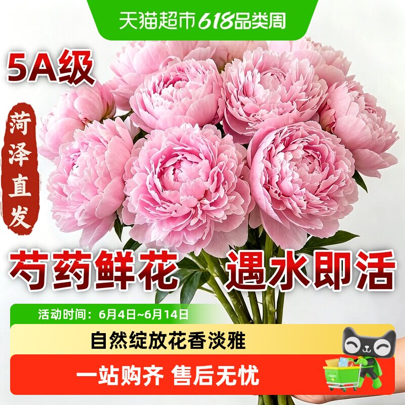 山东芍药鲜花牡丹重瓣花束鲜切花玫瑰菏泽基地直发母亲节