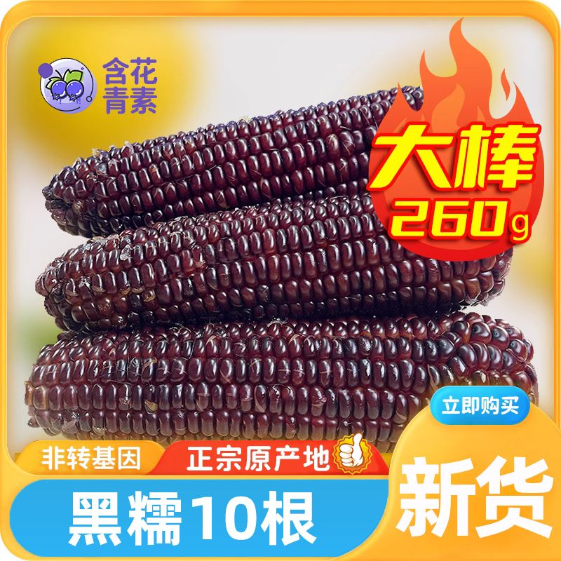 有机玉米新鲜糯玉米棒黑玉米紫糯米粘黏甜真空装包装袋低脂旗舰店