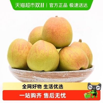 新鲜新疆库尔勒香梨香甜