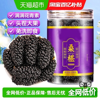 干净桑葚干满满花青素