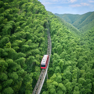 [天目湖南山竹海-大门票+单程小火车+双程地面缆车]大门票+单程小火车+双程地面缆车