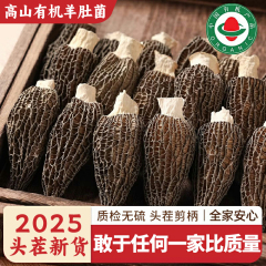 云南干货羊肚菌非特级鲜羊肚菌菇香菇干货非野生农家菌菇煲汤食材