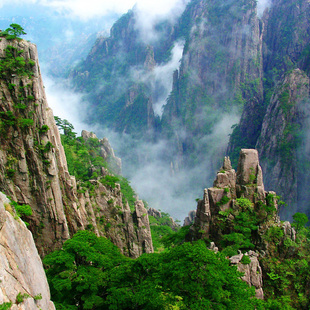 黄山+西递+宏村+九华山+千岛湖+歙县古城5天4晚跟团游连住不挪窝