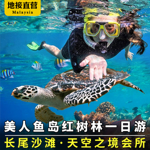 沙巴亚庇美人鱼岛一日游浮深潜潜水kawa红树林萤火虫马来西亚旅游