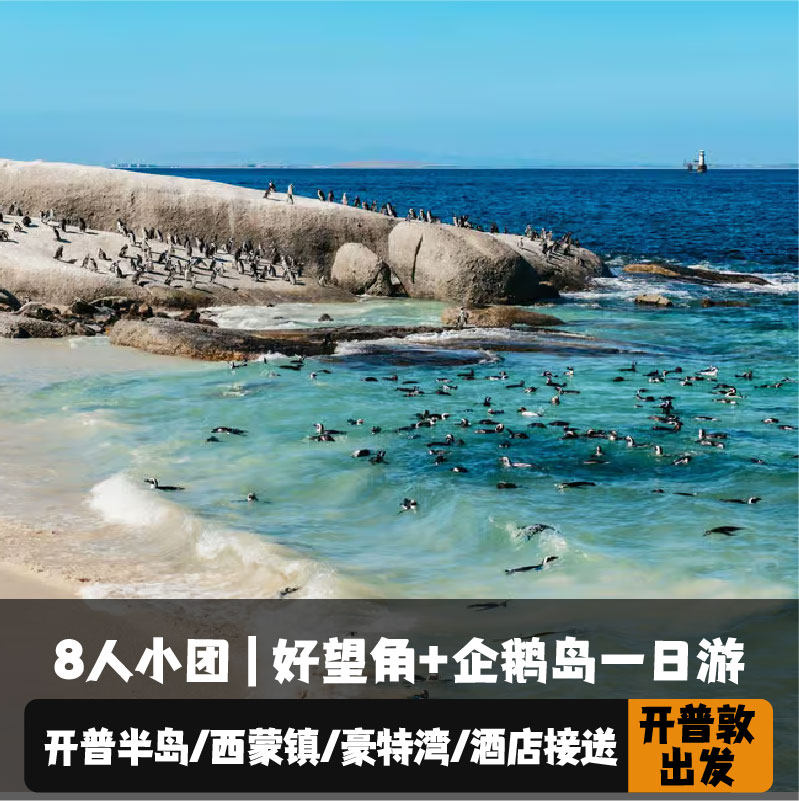开普敦半岛和开普角一日游