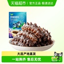 大连4星6年即食海参辽刺参海鲜孕妇非干货礼盒送礼 超定制