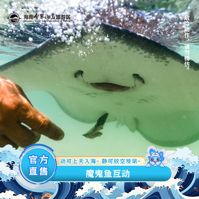 [海南分界洲岛旅游区-魔鬼鱼互动]热门项目。亲子出游优选的特色项