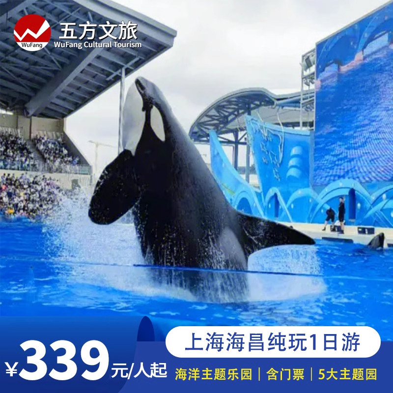 亲子|上海海昌海洋公园一日游/探索深海世界/海豚白鲸/美人鱼表演