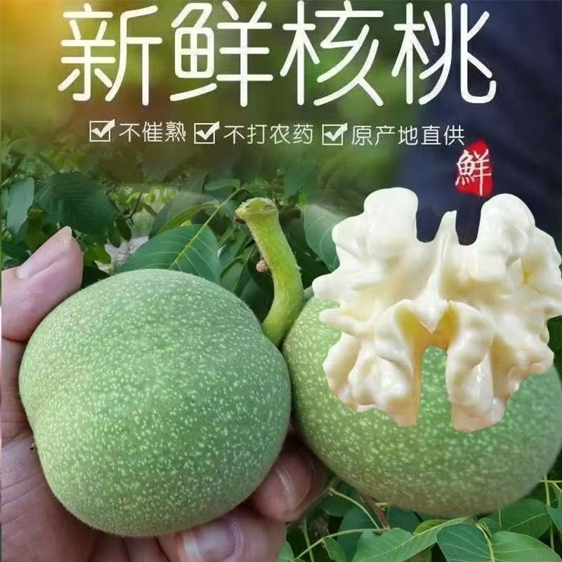 2025新鲜核桃去青皮湿嫩生核桃现摘绿薄皮核桃仁孕妇专用黑桃整箱