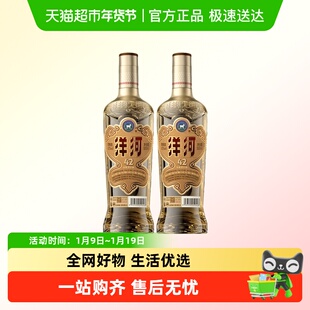 洋河 高线光瓶酒 金洋河 42度双支装 绵柔浓香型白酒
