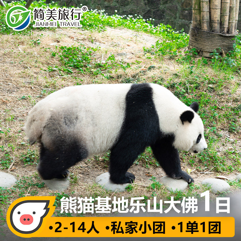 2-14人小团乐山大佛熊猫基地1日游成都旅游一日游周边跟团游