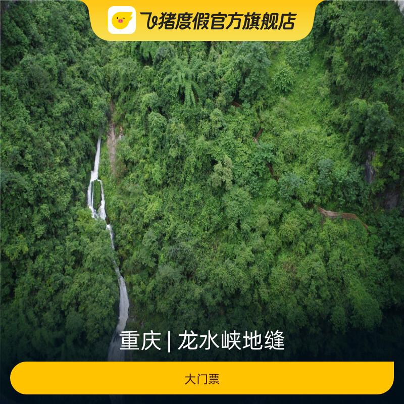 [龙水峡地缝-大门票]