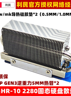 利民HR-10 2280 M.2 SSD固态硬盘散热器高导热硅胶垫*2+双5MM热管