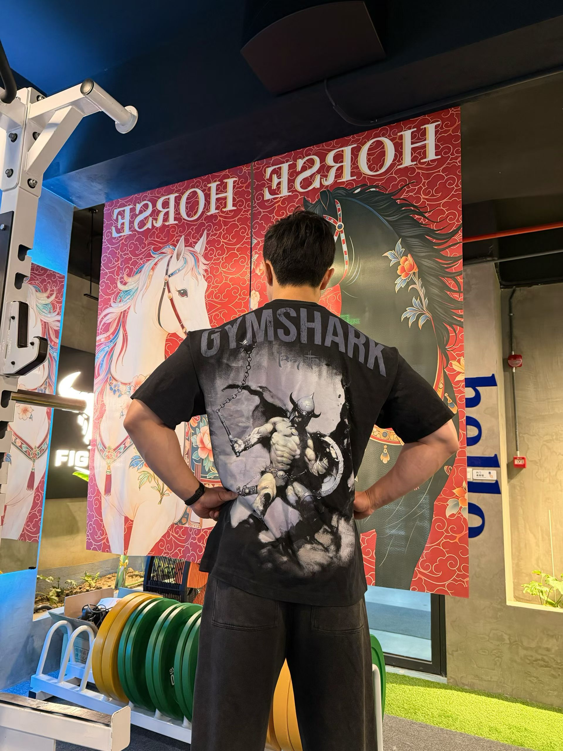 鲨鱼斯巴达勇士健身健美运动短袖吸汗透气软糯棉T恤欧美码