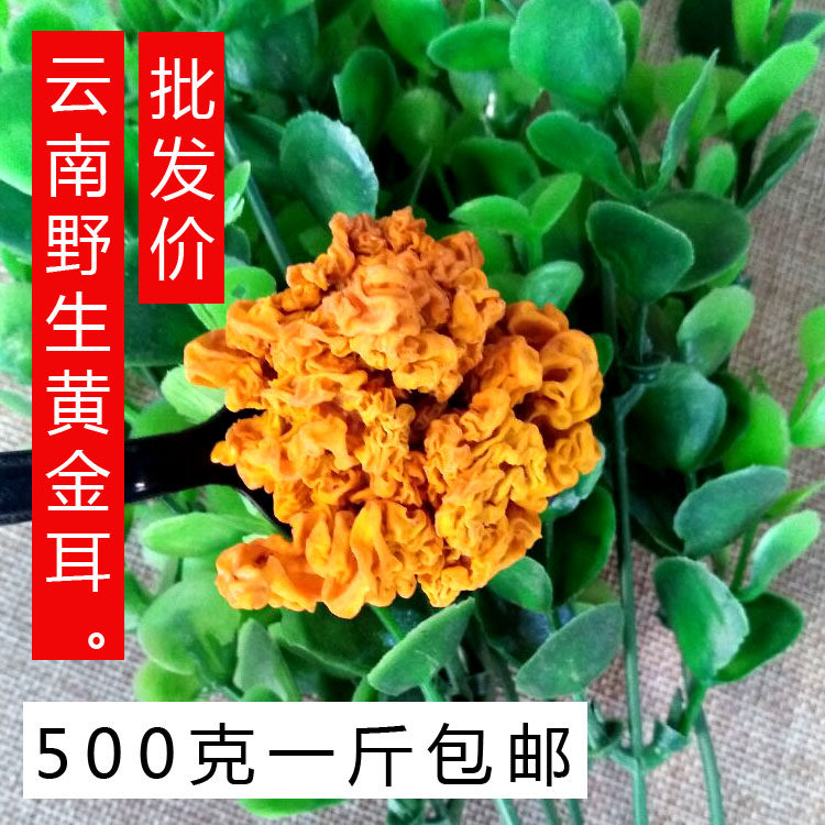 500克包邮云南野生黄金耳干货西藏食用黄木耳银耳菌配桃胶皂角米