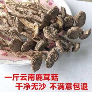 云南鹿茸菇干货一斤大包装真划算
