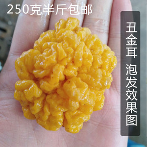 云南天然野生黄金木耳菌半斤包邮