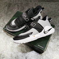 Nike Nike Ambassador XII Джеймс А. Посланник 12 Мужской баскетбольной обувь BQ5436-005