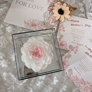 永生花花房礼盒芍药玻璃罩摆件干花花束送闺蜜生日520母亲节礼物