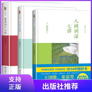 正版 叶嘉莹讲词精选套装共3册：人间词话七讲+小词大雅+唐宋词十七讲 精装 北京大学出版社 叶嘉莹迦陵讲演集