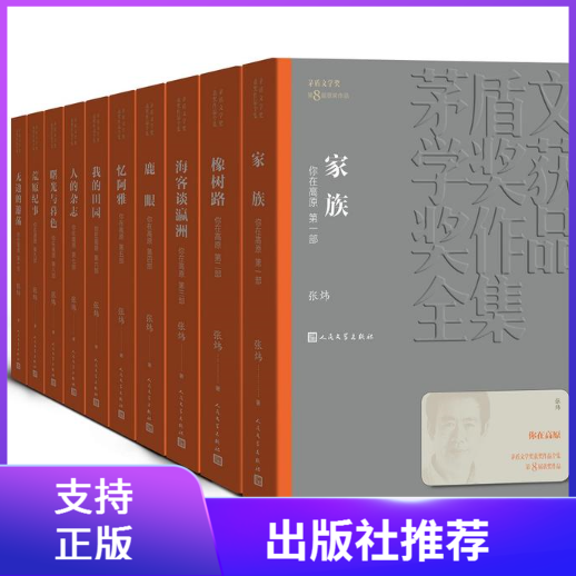 正版你在高原1-10部全十册茅盾文学奖获奖作品全集31人民文学出版社张炜作品第八届8茅盾文学奖获奖作品当代长篇小说