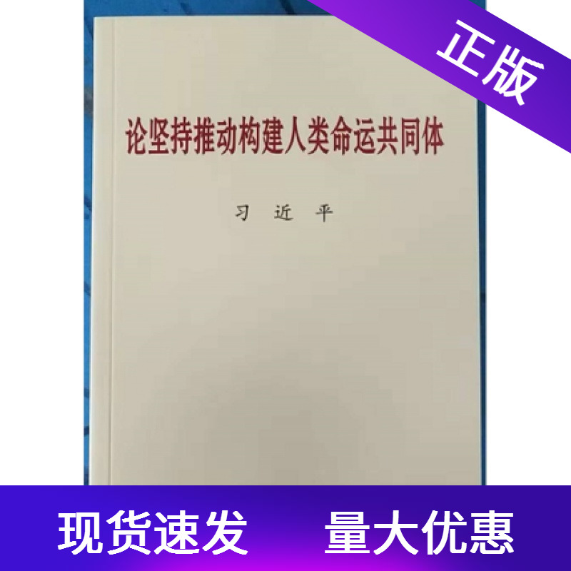 论坚持推动构建人类命运共同体小字本