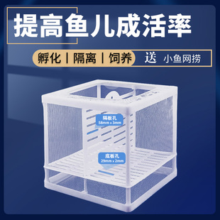 鱼缸隔离网隔离盒孔雀鱼热带鱼斗鱼隔离繁殖盒鱼缸小鱼孵化隔离盒