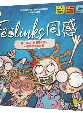 【Bulygames】Feelinks 同感 中文版 益智休闲聚会游戏