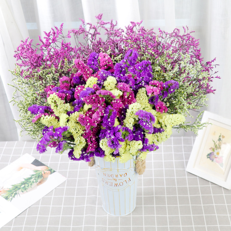 勿忘我幹花裝飾擺件滿天星畢業網紅花束ins家居擺設插花風幹真花在類目 家居飾品, 花瓶/花器/仿真花/仿真飾品, 乾花/花瓣/乾花包/幹樹枝中 - 來自Buy2taobao.com提供專業的淘寶代購服務