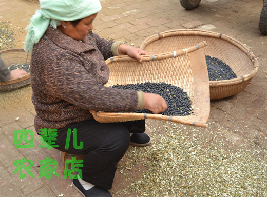 山东农家自产黑豆 青仁乌豆绿心绿芯 打豆浆豆子五谷杂粮粗粮500 粮油调味/速食/干货/烘焙 黑豆 原图主图