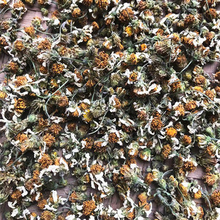 新晒中草药 盲肠草纯花 鬼针草花草茶 三叶鬼针草花 鬼针草花茶