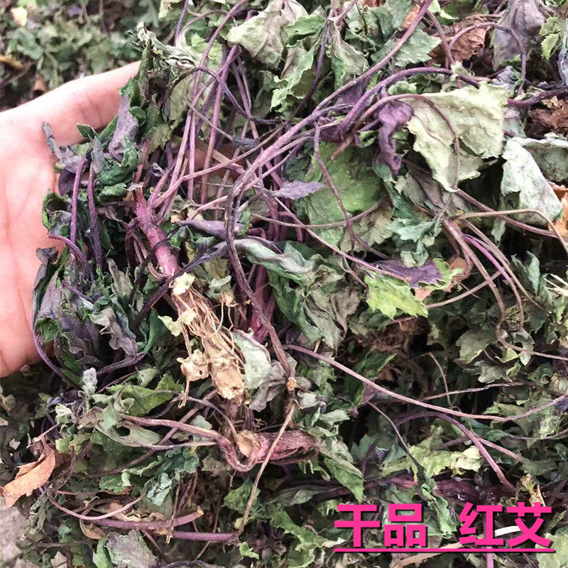 新鲜干品山草药鸭脚艾 红艾甜菜 甜艾 珍珠菜 白花蒿姨妈菜中草药