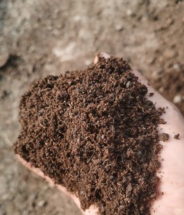 羊粪黄豆鹅粪混合发酵有机肥。一斤顶三斤。