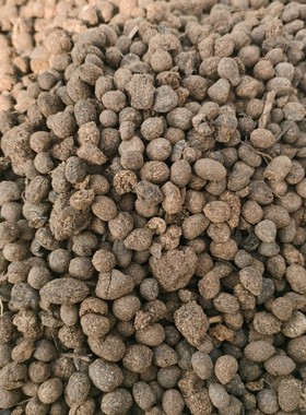 完全腐熟羊粪蛋颗粒晒干发货分量足可以跟任何一家比。不好白送