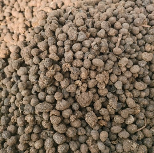 完全腐熟羊粪蛋颗粒晒干发货分量足可以跟任何一家比。不好白送