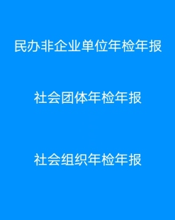 民办非企业单位年检年报社会团体年检年报社会组织年检换届变更