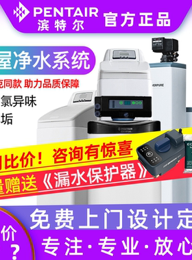 美国滨特尔全屋家用中央净水软水机净水设备别墅水处理过滤器水垢